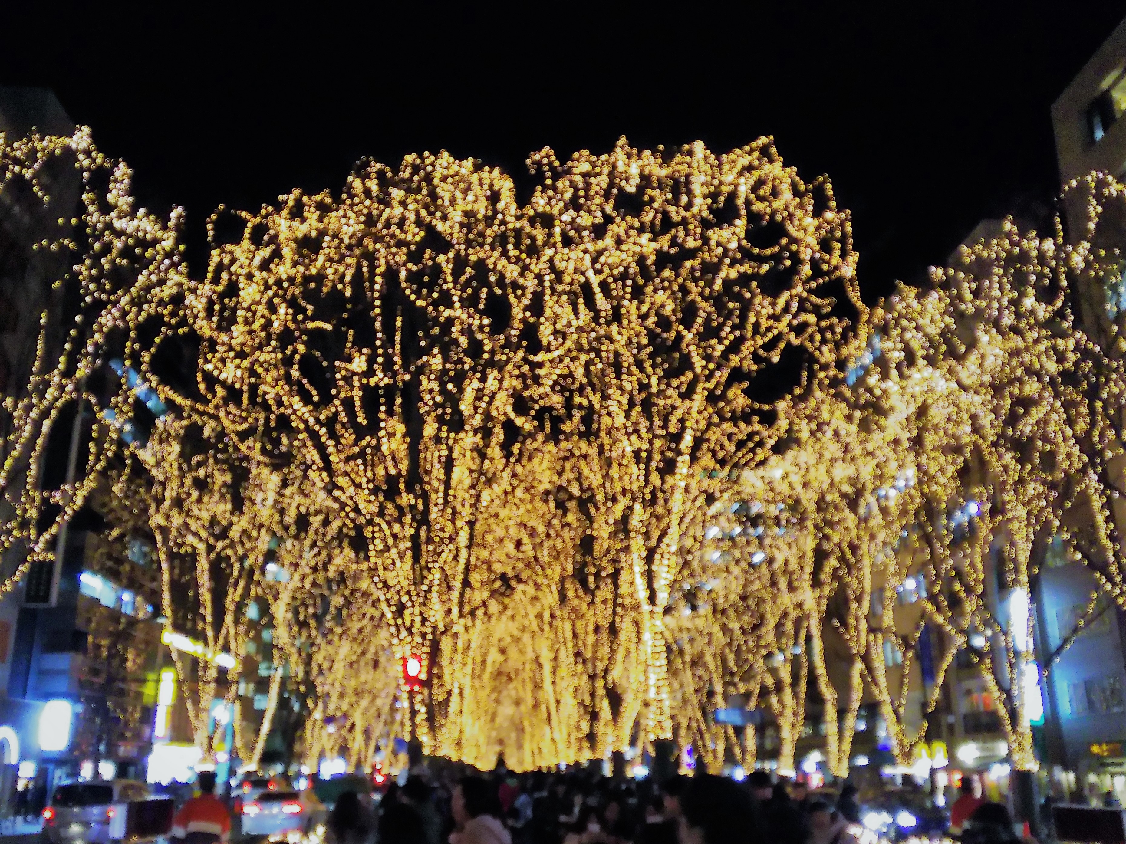 光のページェント