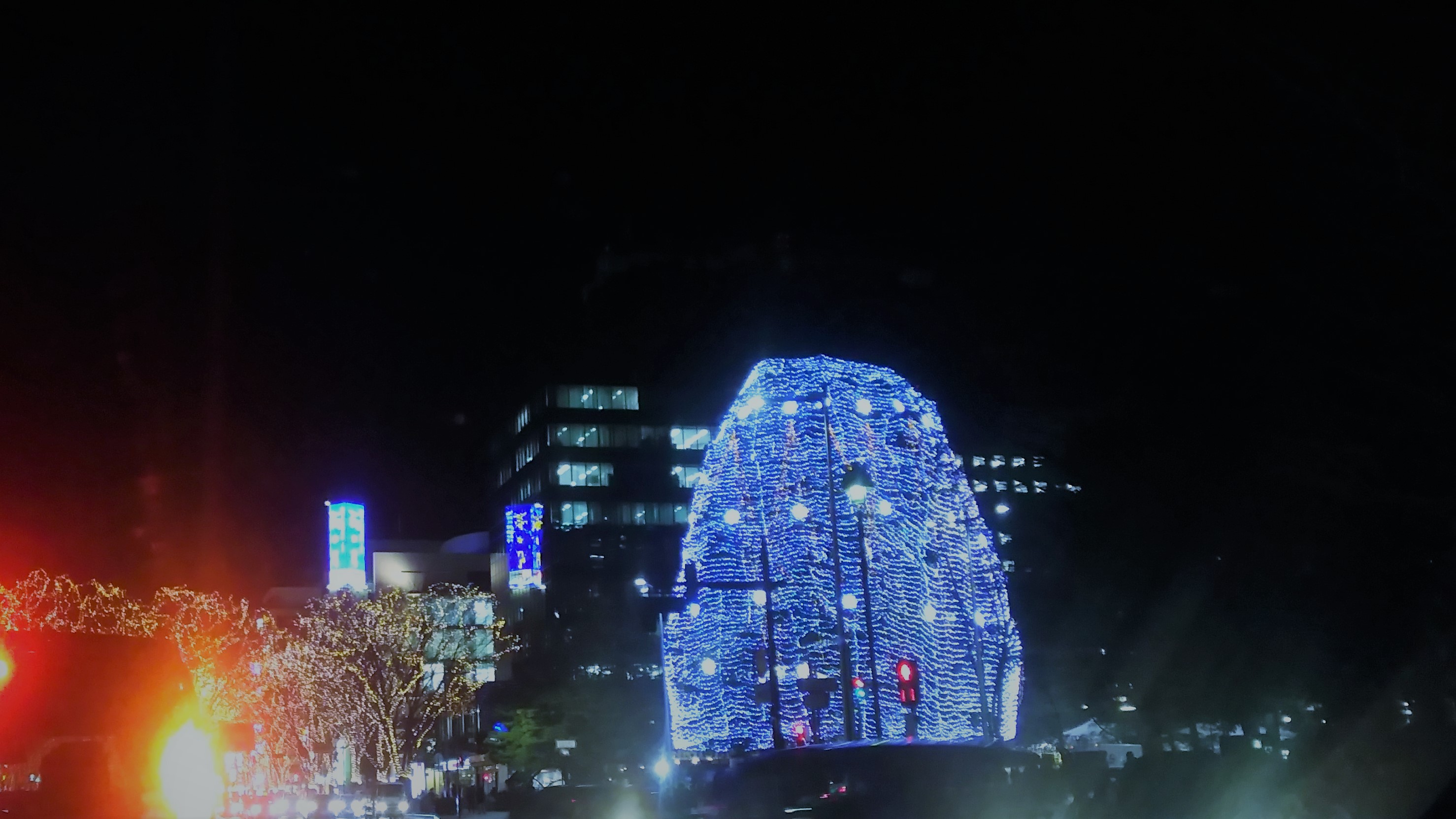 光のページェント