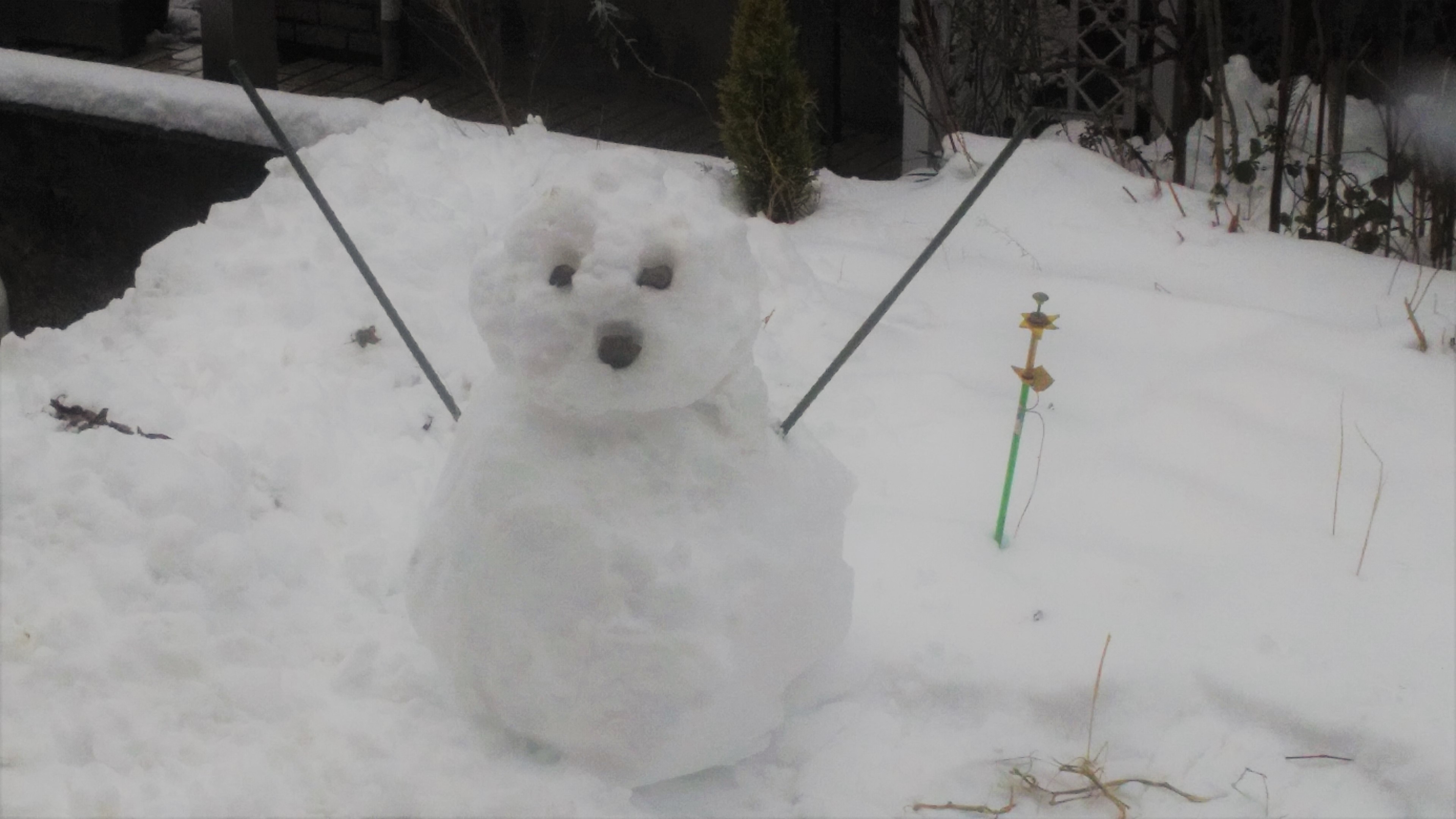 ゆきだるま