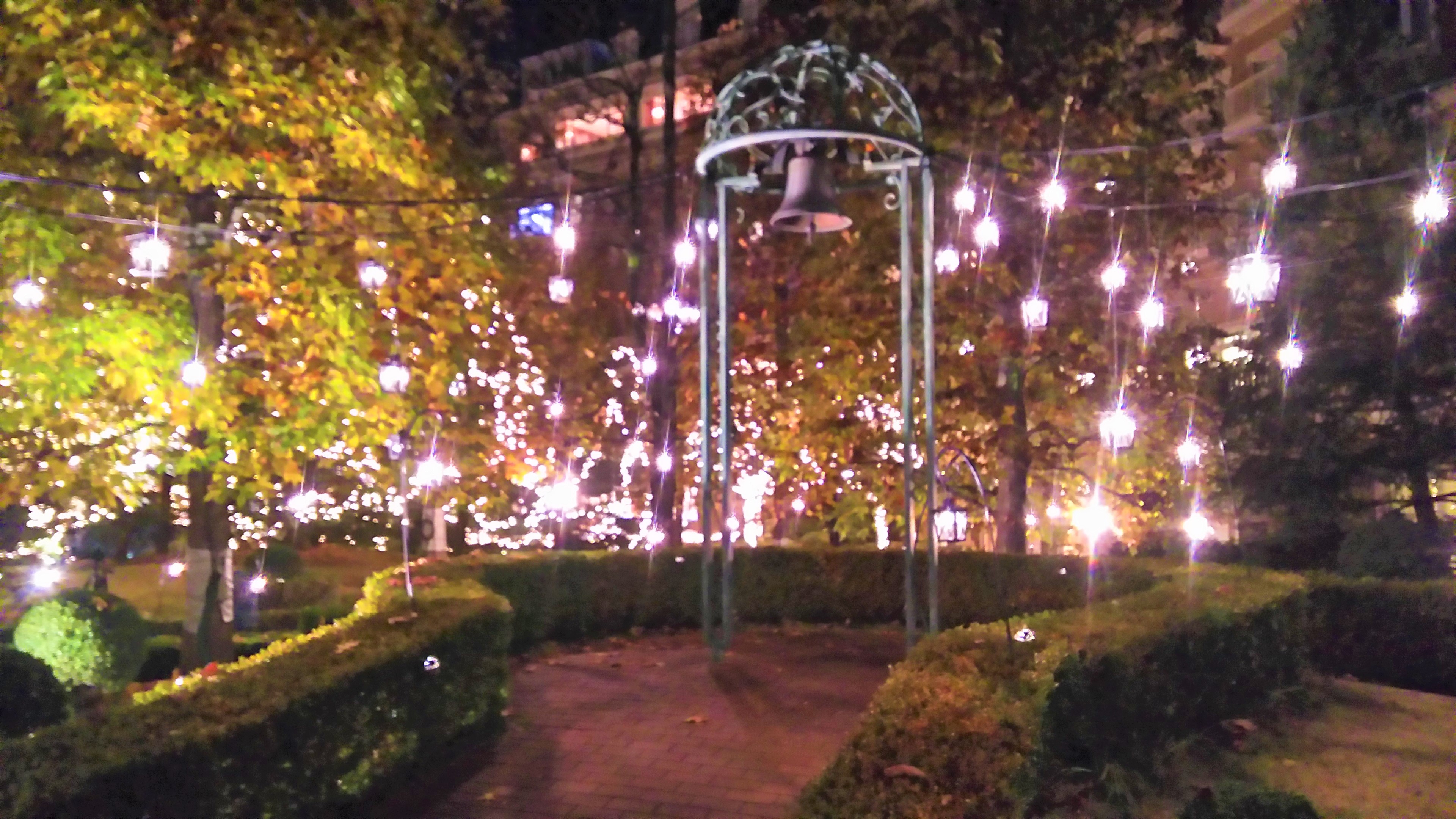 イルミネーション１