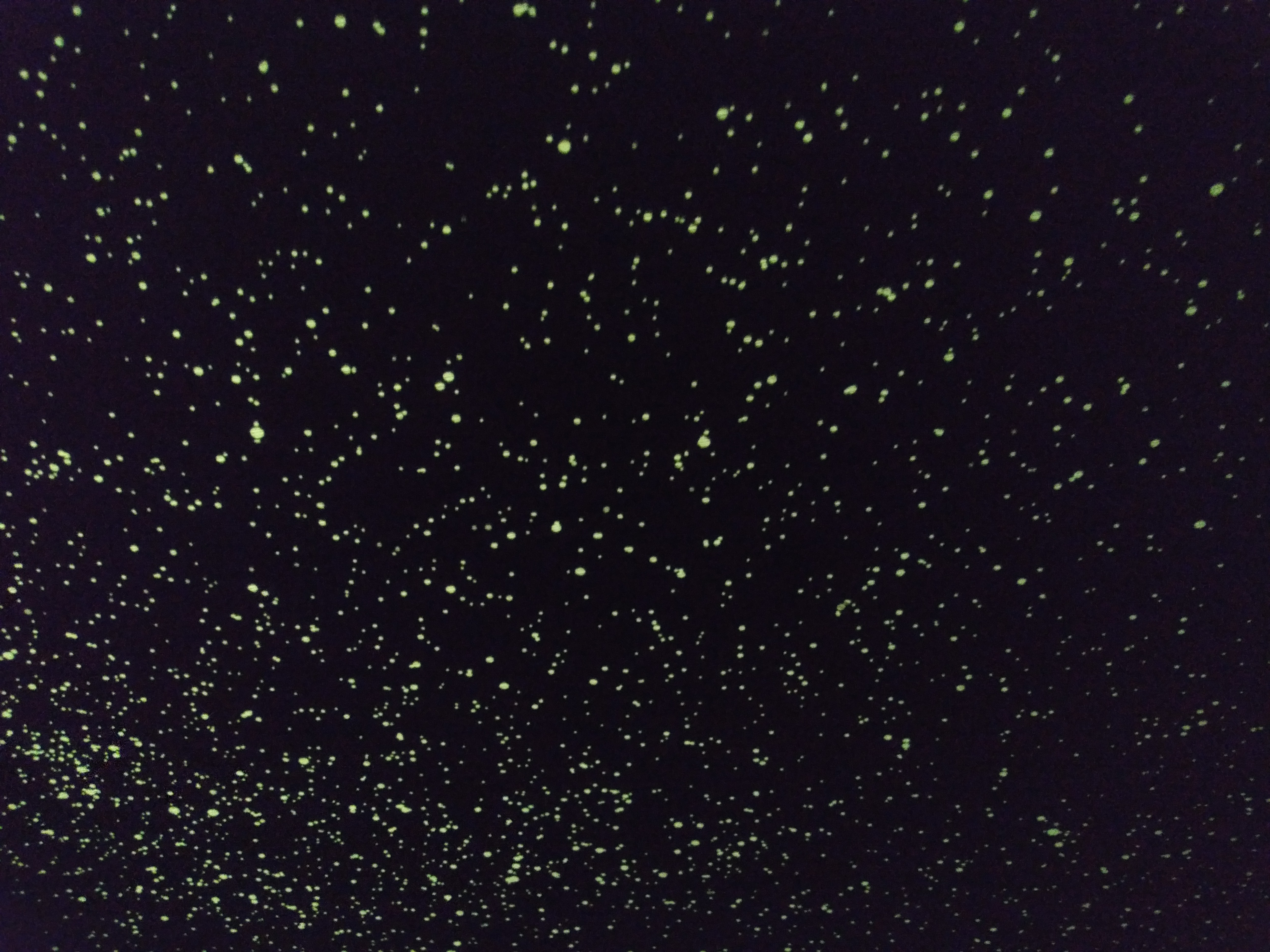 kenkoプラネタリウム