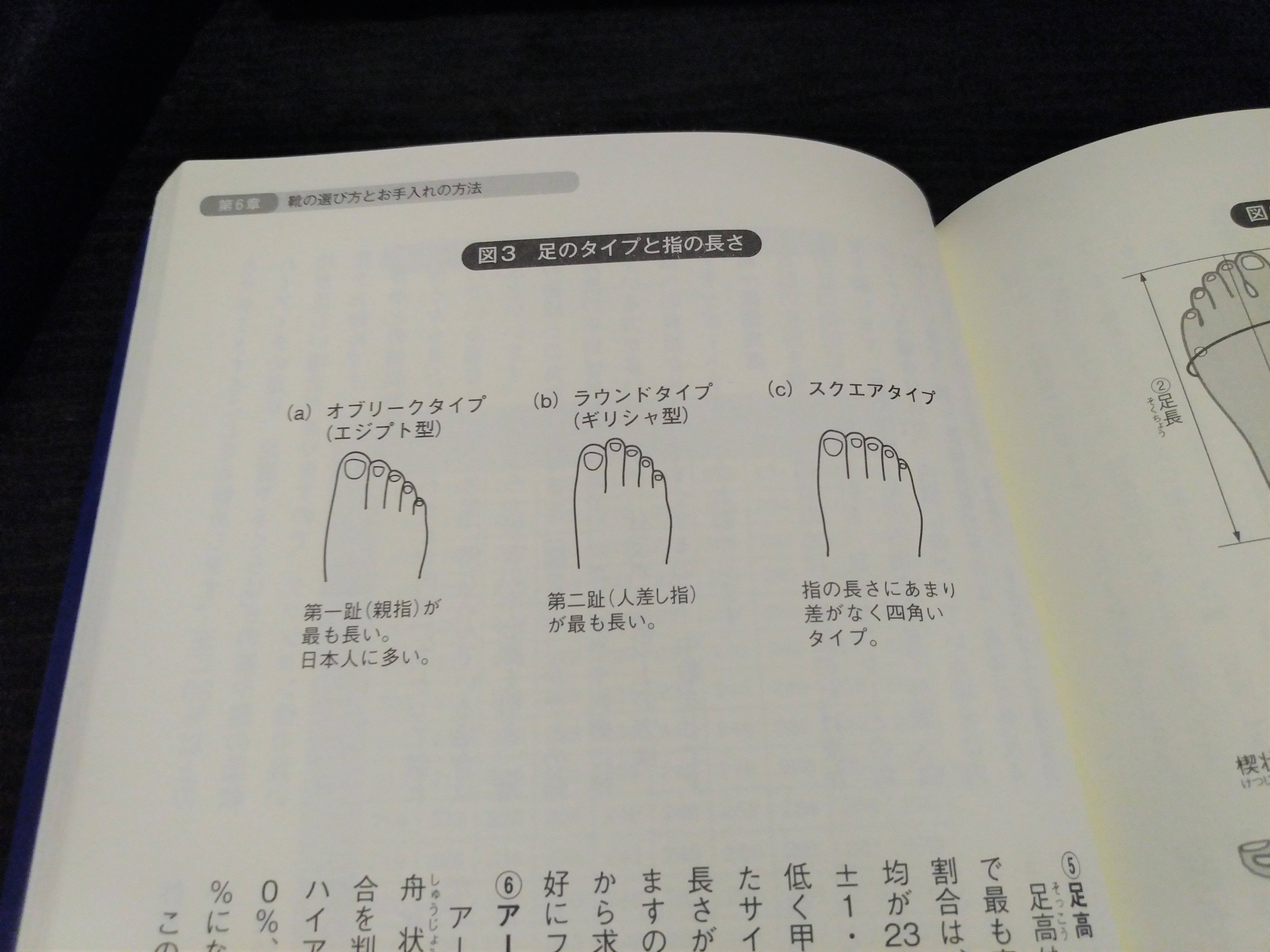 足の形
