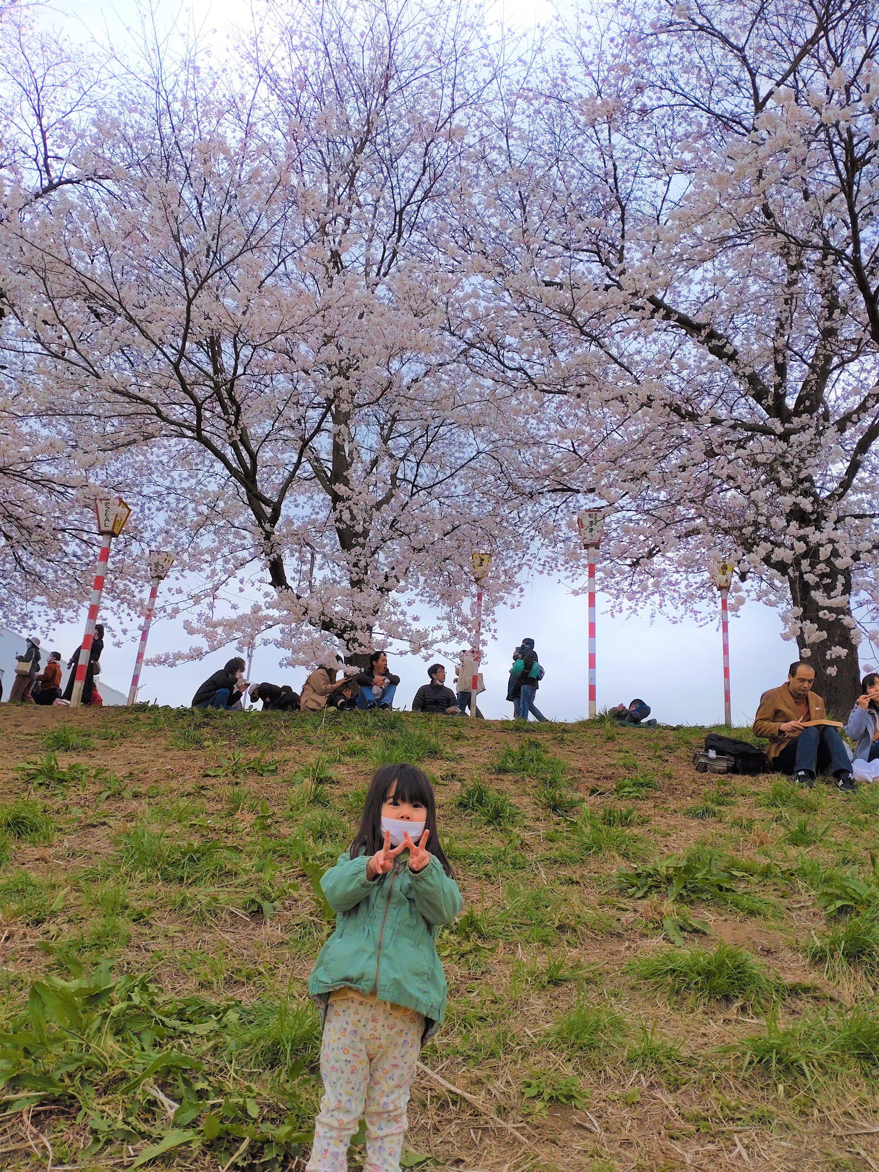 おおがわら桜まつり