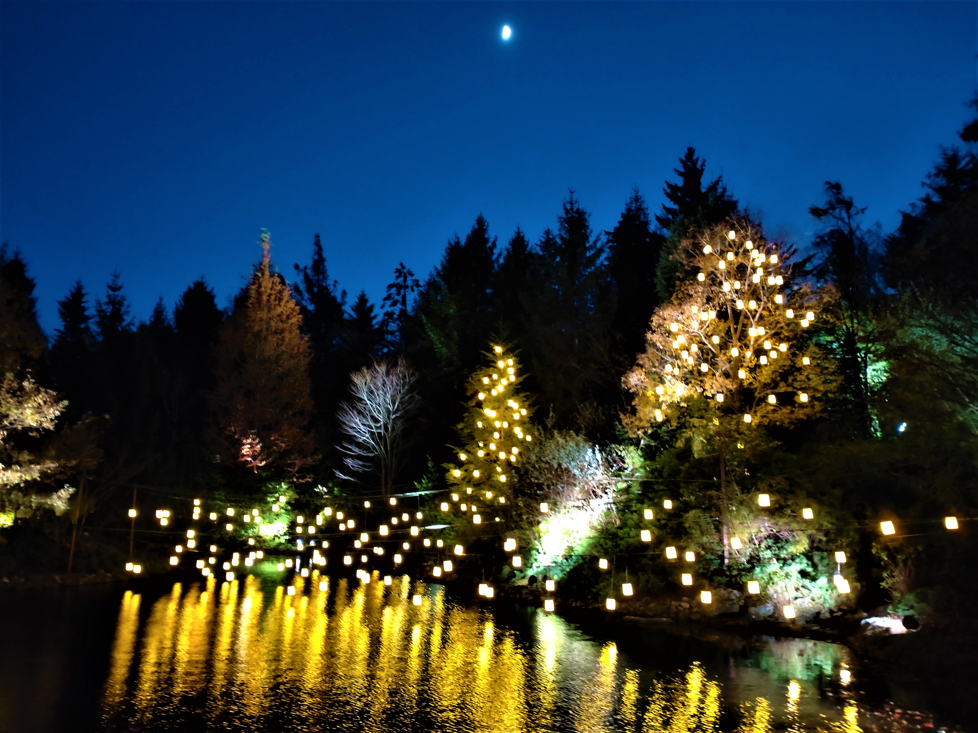 ガーデンイルミネーション