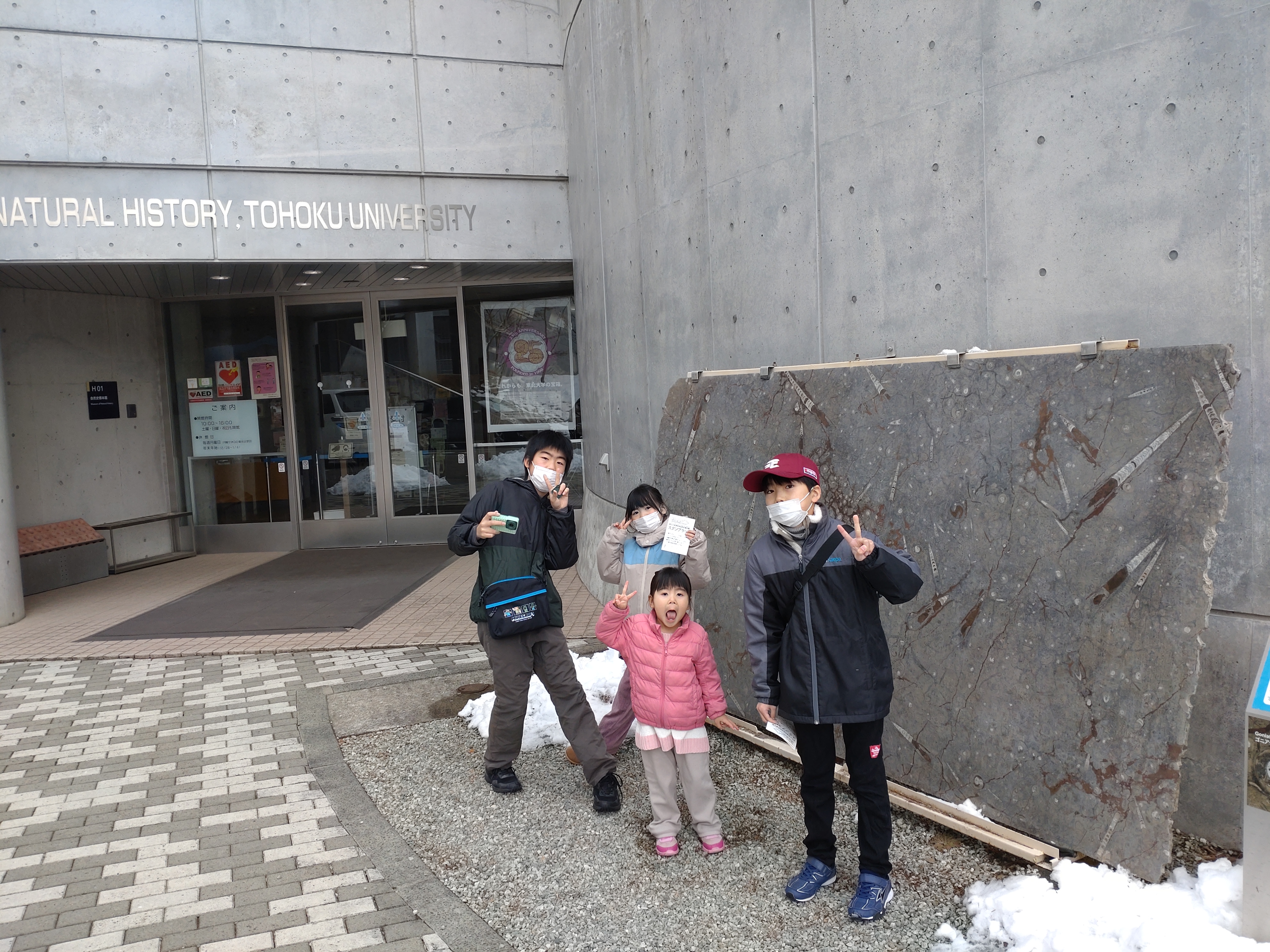東北大学理学部自然史標本館